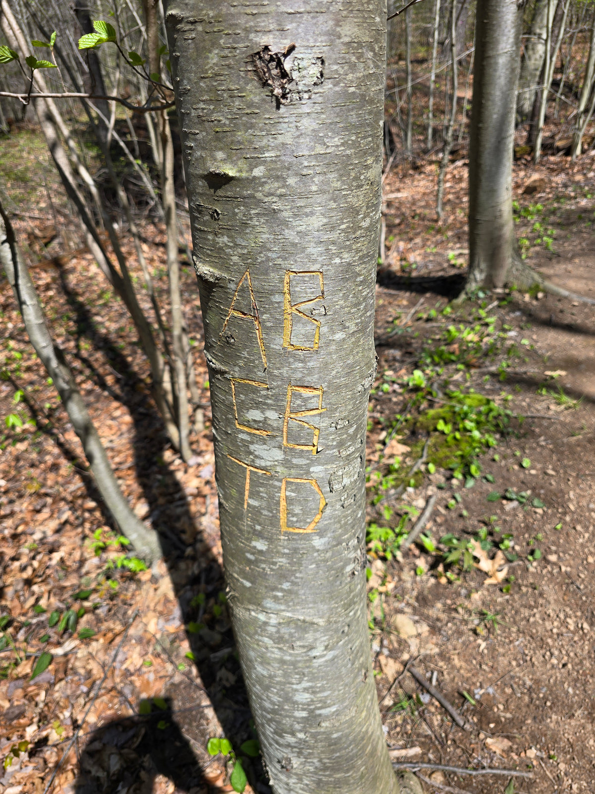 Some marks are left behind because a moment, a person or a place meant enough to remember.