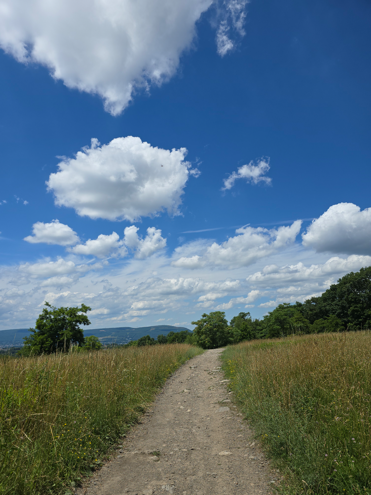 Keep moving forward. There is always more road, more sky, and more story ahead.