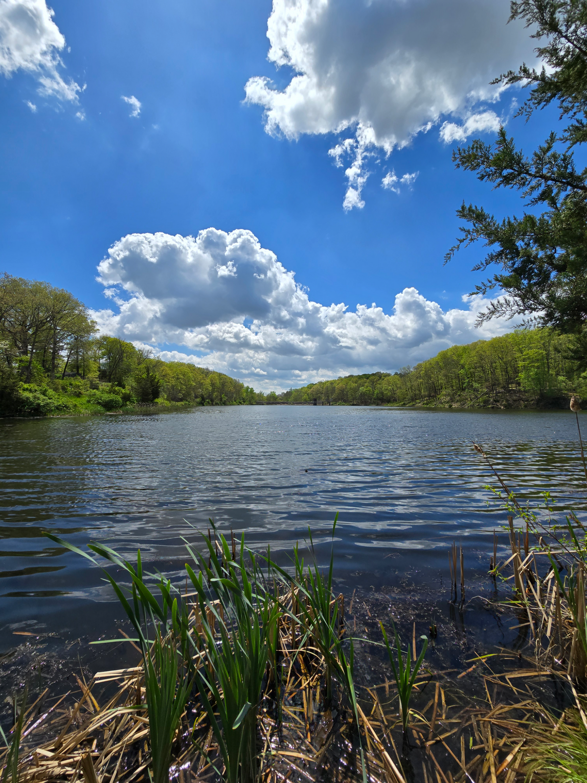 Still water, open sky, and one of those moments that makes you stay a little longer.
